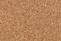 Пробковое покрытие Eco Cork замковое MONO фото 1 | FLOORDEALER